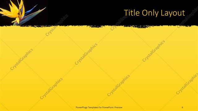 Title Only presentation slide layout