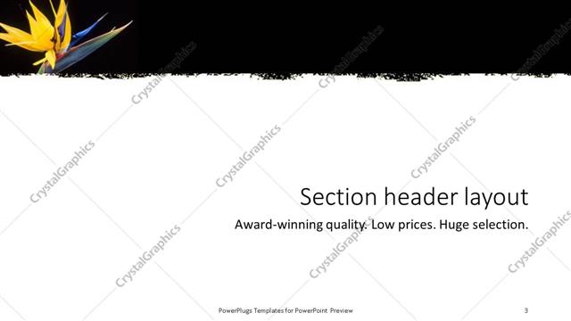 Section Header presentation slide layout