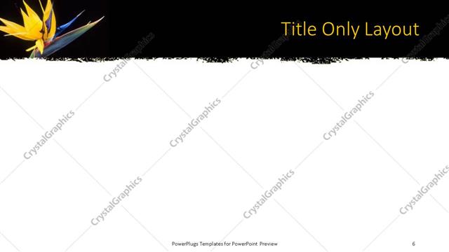 Title Only presentation slide layout