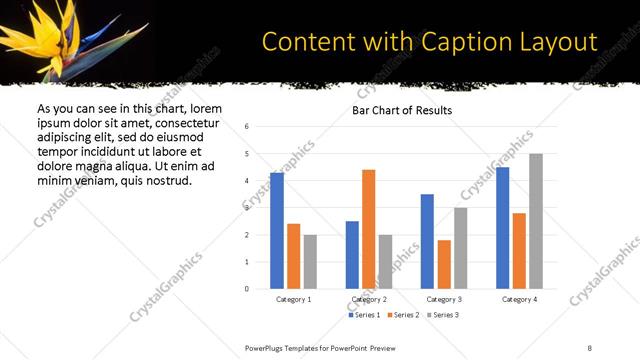 Content with Caption presentation slide layout
