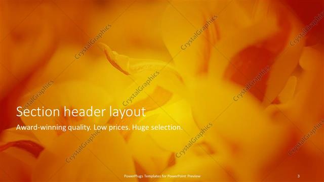 Section Header presentation slide layout