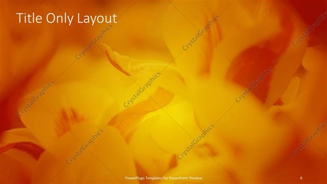 Title Only presentation slide layout