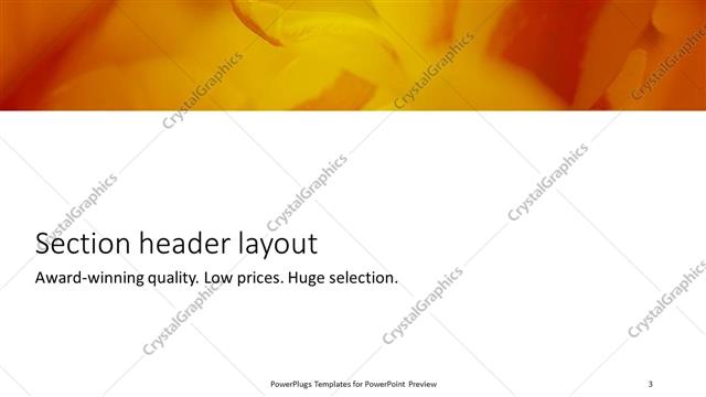 Section Header presentation slide layout