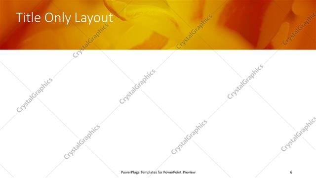 Title Only presentation slide layout