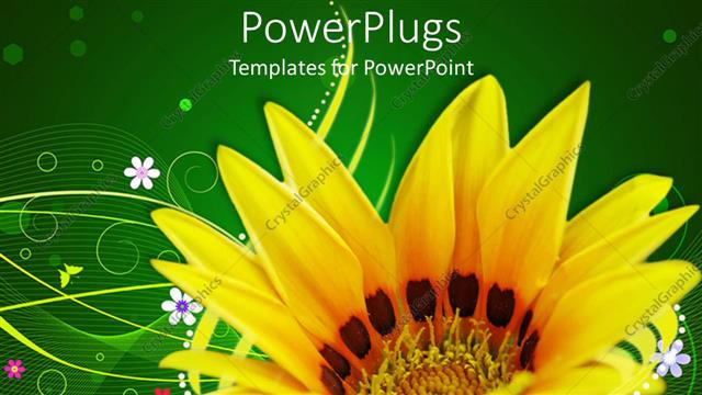  Presentation with yellow green - Close up of yellow sunflower on abstract pattern with green background