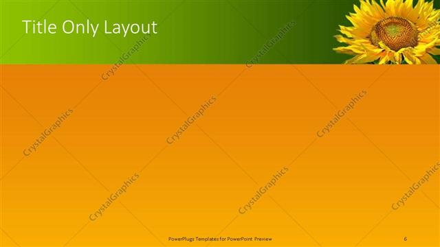 Title Only presentation slide layout