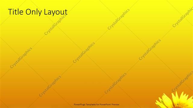 Title Only presentation slide layout