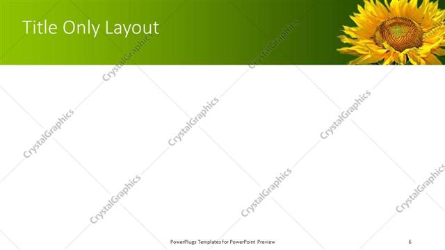 Title Only presentation slide layout