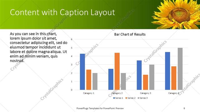 Content with Caption presentation slide layout