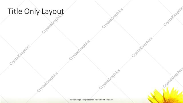 Title Only presentation slide layout