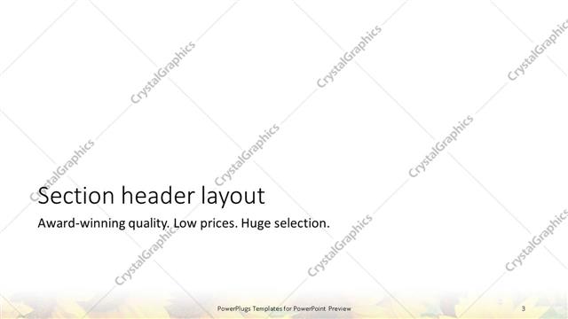 Section Header presentation slide layout