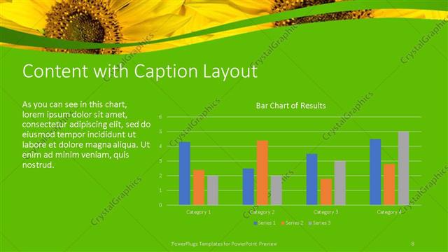 Content with Caption presentation slide layout