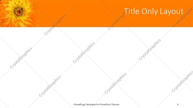 Title Only presentation slide layout