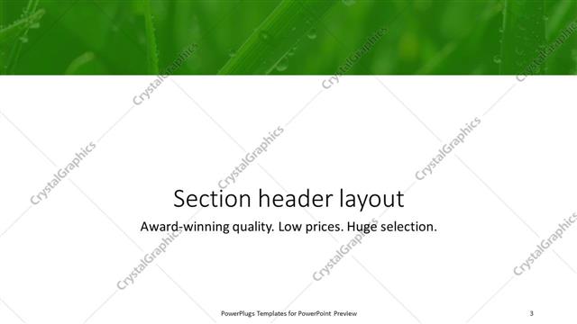Section Header presentation slide layout