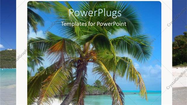  Presentation with coconut palm tree - Coconut palm tree on beach in box with ocean landscape, vacation, holiday, travel