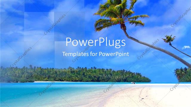  Presentation with coconut - Coconut tree on beach, sand, ocean, blue sky