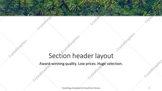 Section Header presentation slide layout