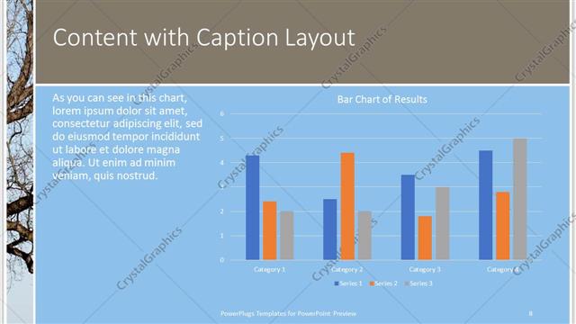 Content with Caption presentation slide layout