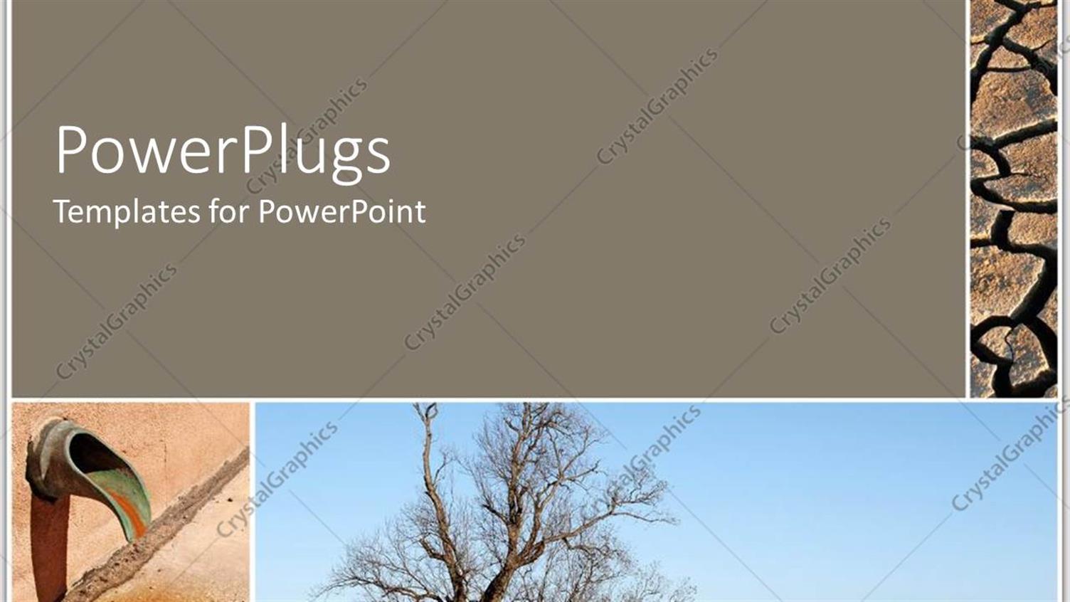 Premium Template for PowerPoint & Google Slides 