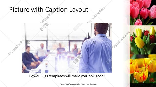 Picture with Caption presentation slide layout
