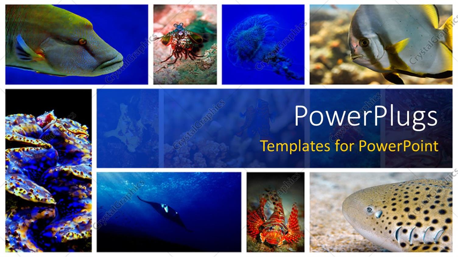 Featuring a Number of Figures Related to Sea Life in the Picture