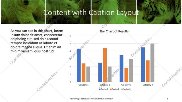 Content with Caption presentation slide layout