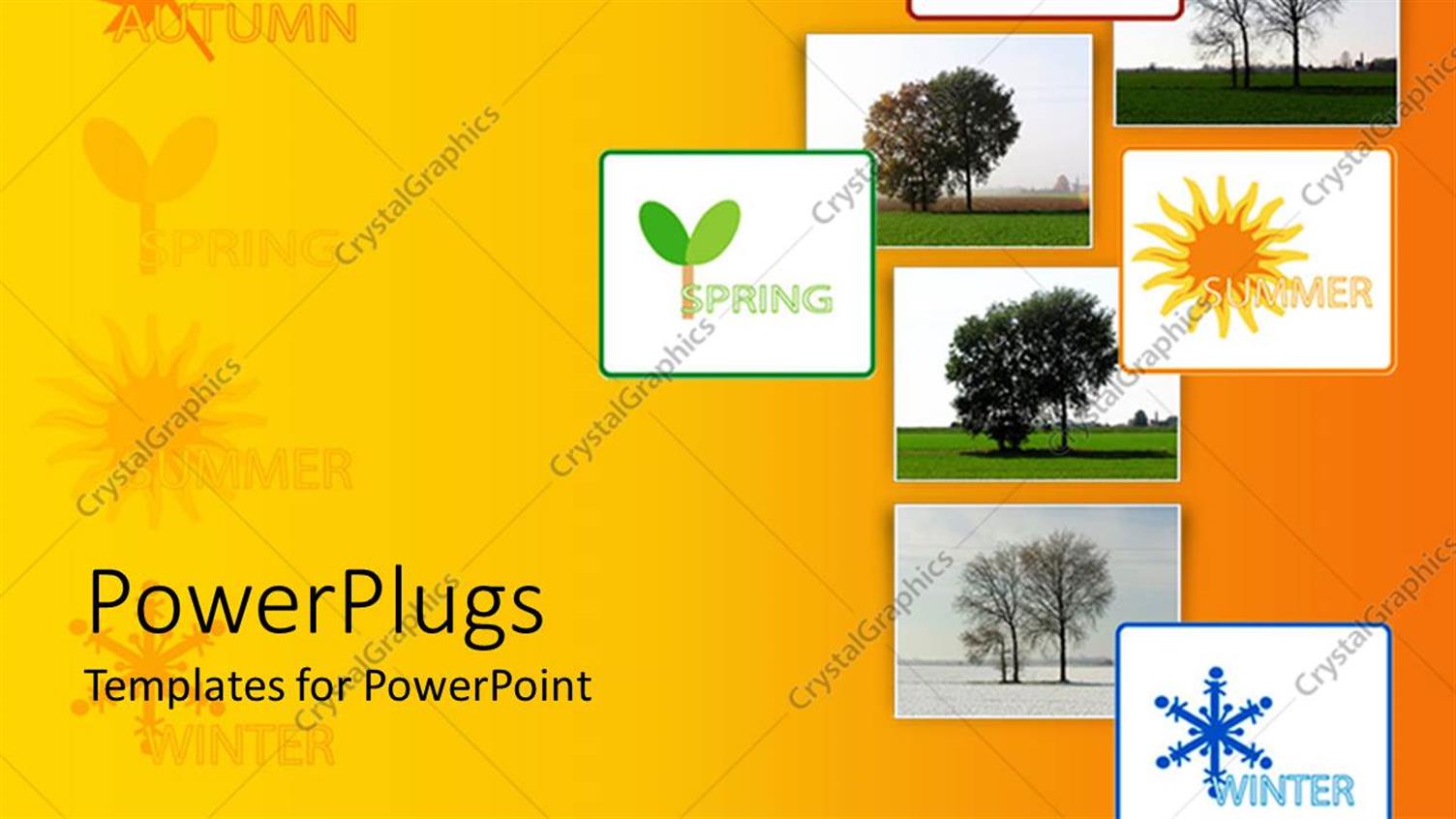 Premium Template for PowerPoint & Google Slides 