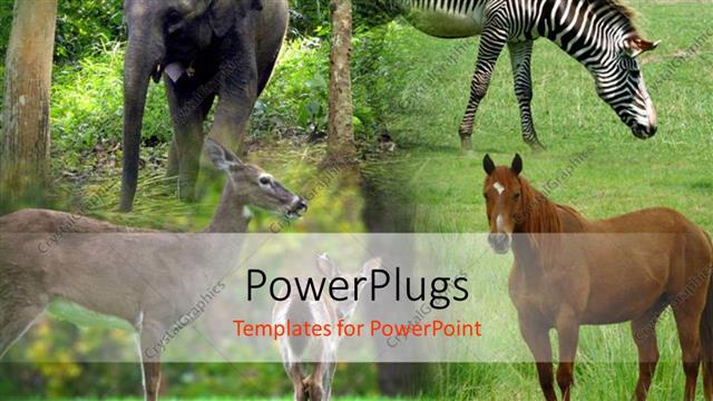  Presentation with wildlife - Collage of Elephant, Zebra, Horse and antelope in green field