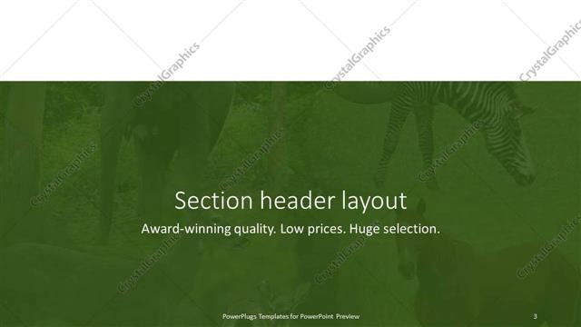 Section Header presentation slide layout