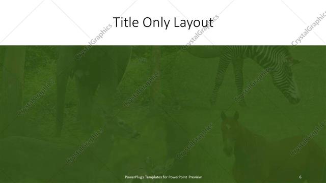Title Only presentation slide layout