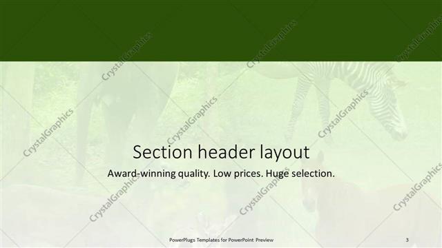 Section Header presentation slide layout