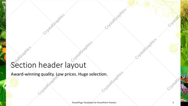 Section Header presentation slide layout