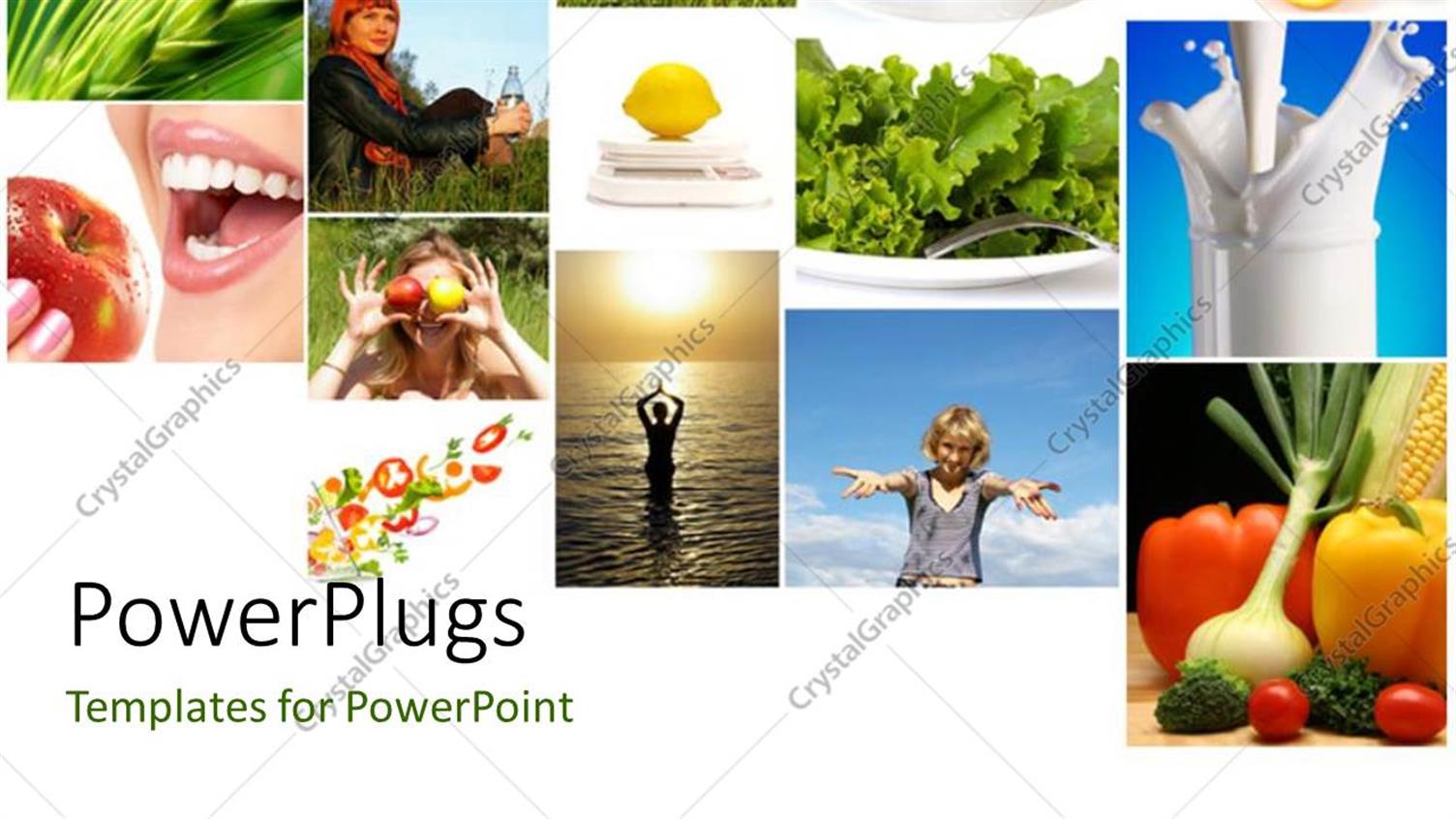 Premium Template for PowerPoint & Google Slides 