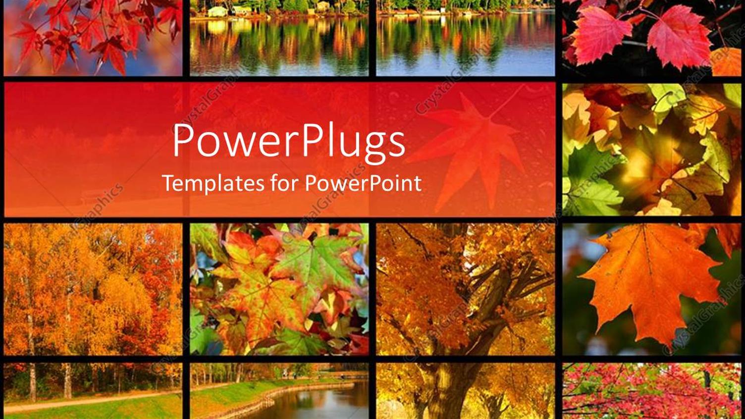 Premium Template for PowerPoint & Google Slides 