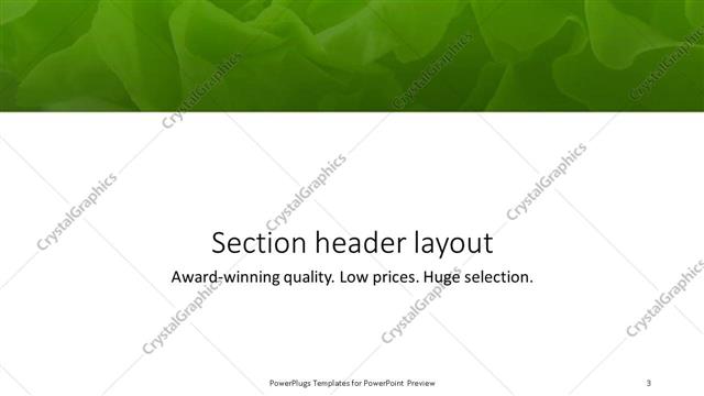 Section Header presentation slide layout