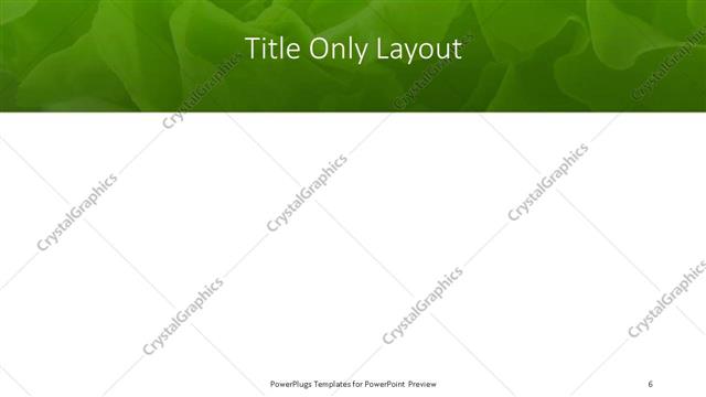 Title Only presentation slide layout