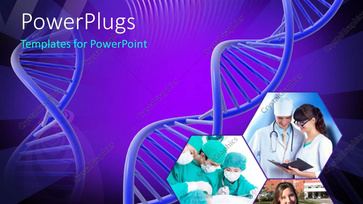 Premium Template for PowerPoint & Google Slides 