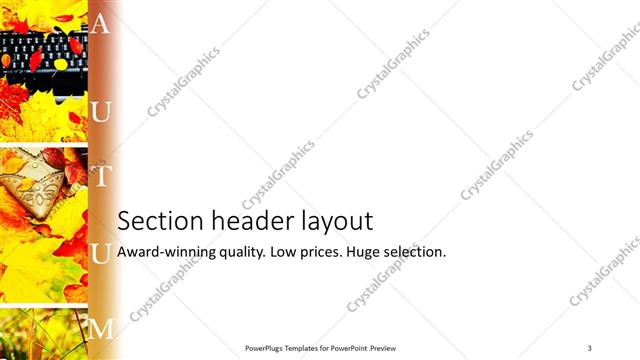 Section Header presentation slide layout