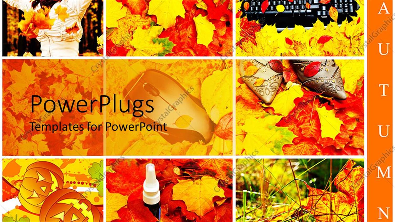 Premium Template for PowerPoint & Google Slides 