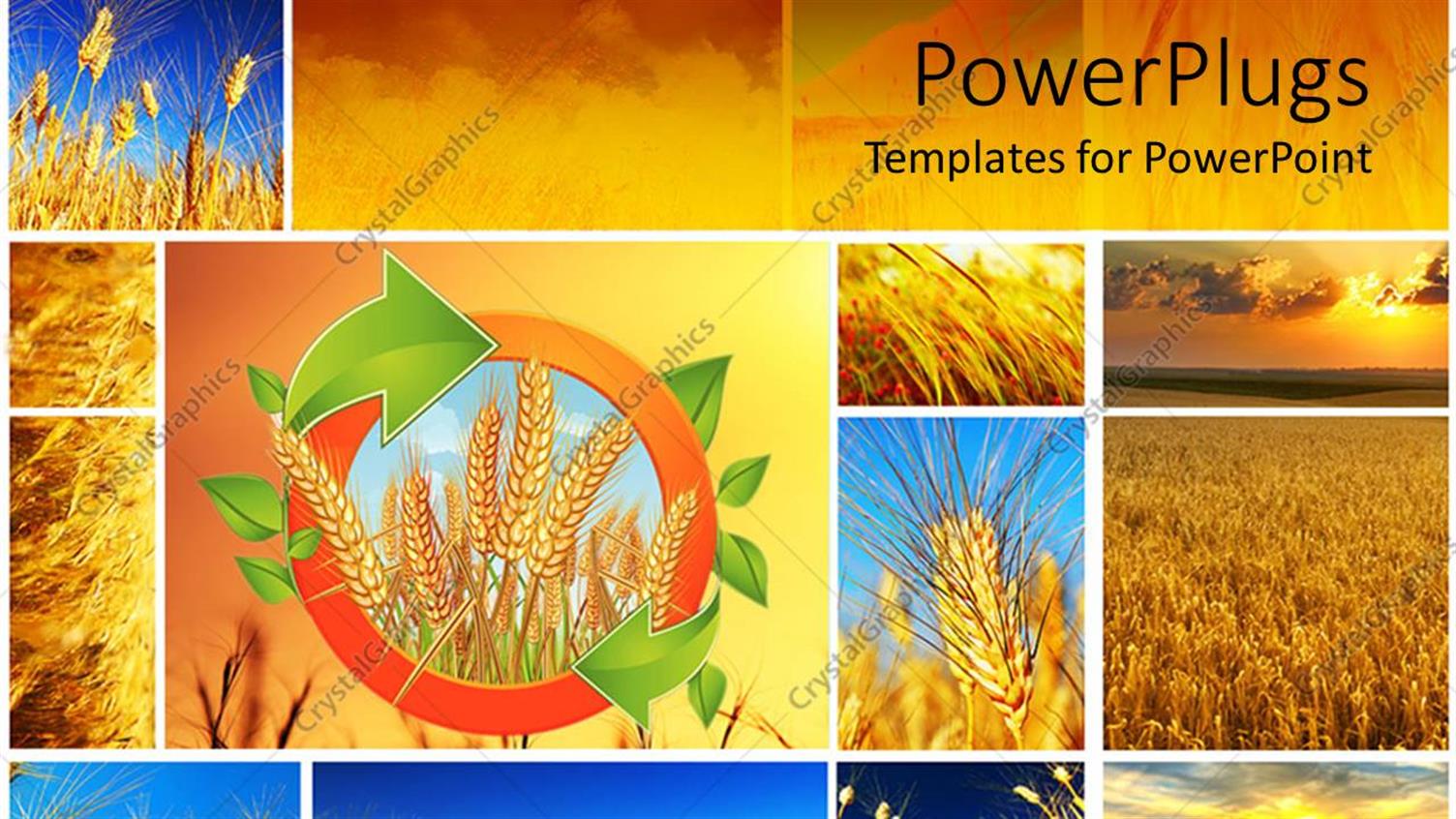 Premium Template for PowerPoint & Google Slides 