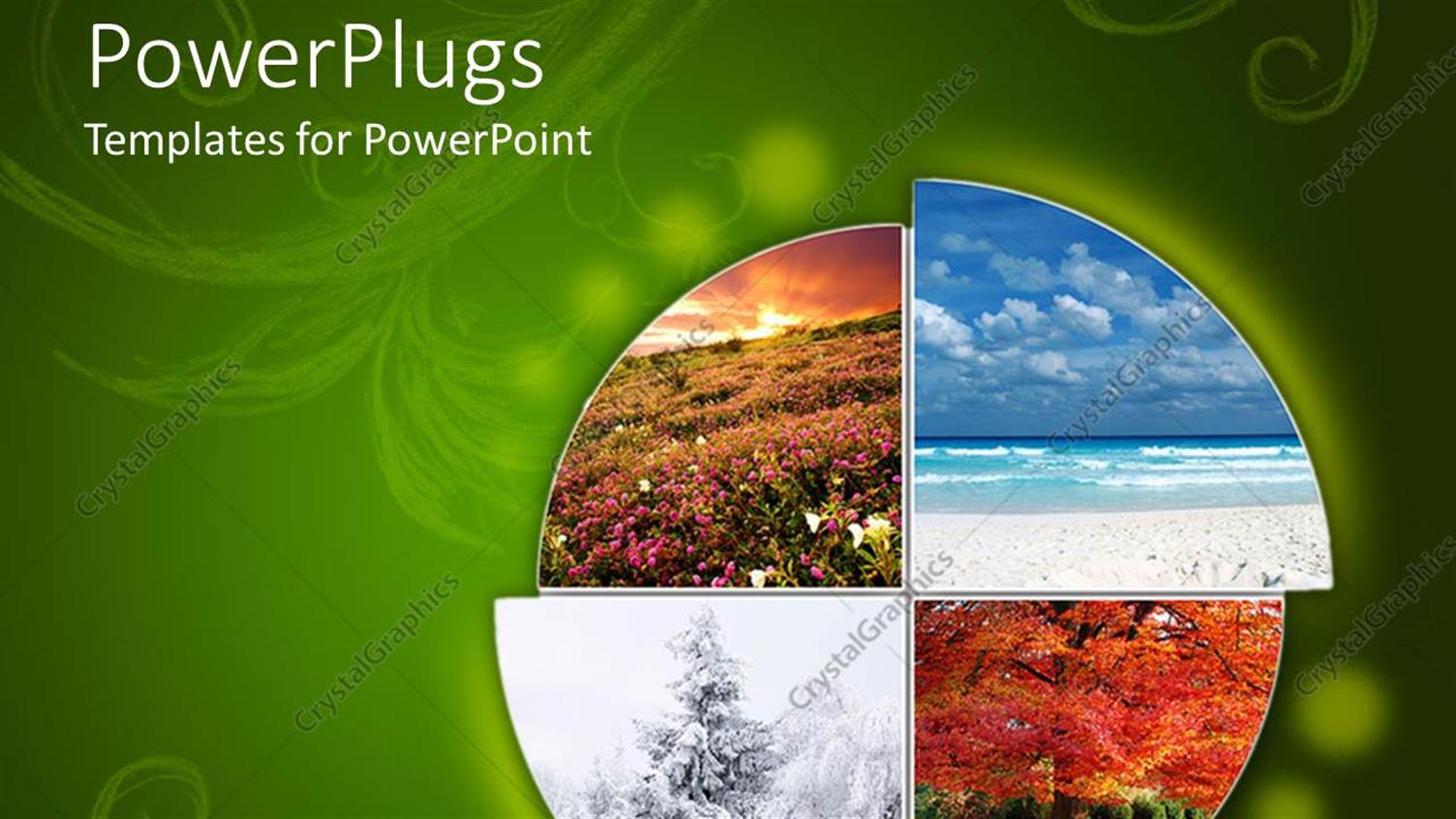 Premium Template for PowerPoint & Google Slides 