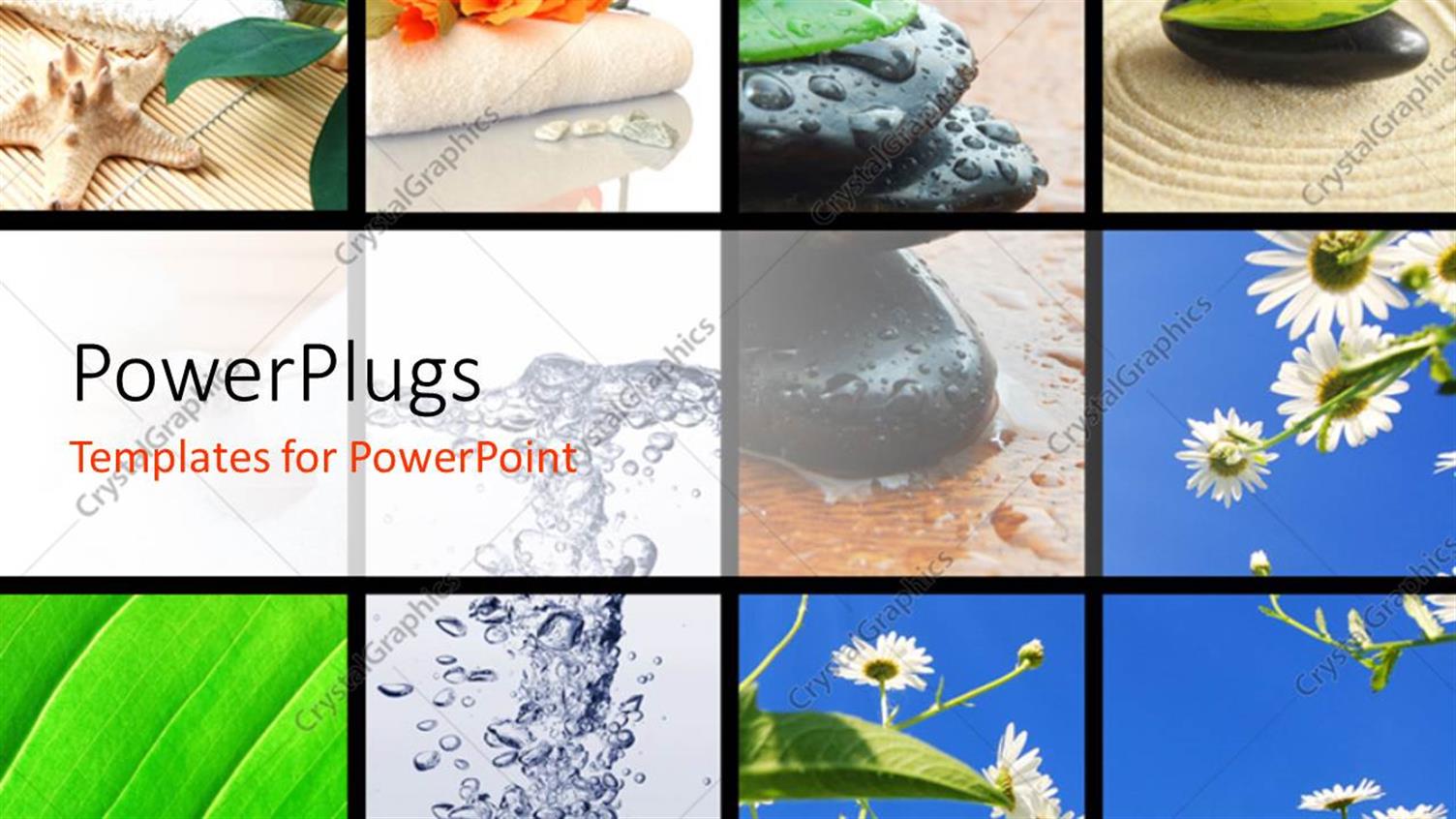 Premium Template for PowerPoint & Google Slides 