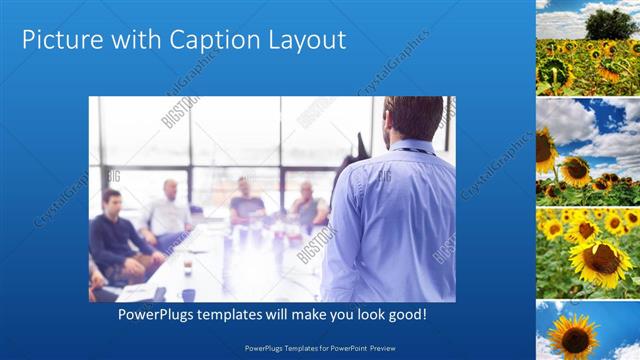 Picture with Caption presentation slide layout
