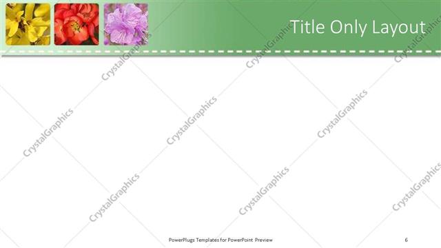 Title Only presentation slide layout