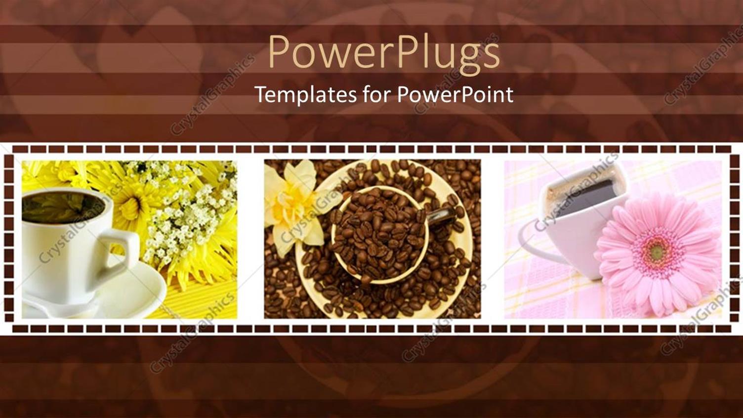 Premium Template for PowerPoint & Google Slides 