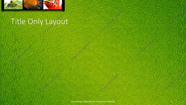 Title Only presentation slide layout