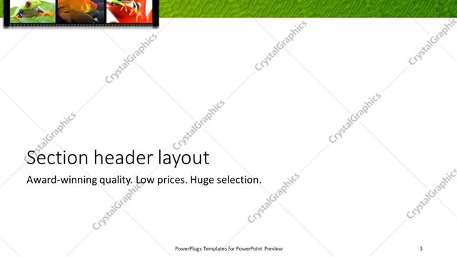 Section Header presentation slide layout