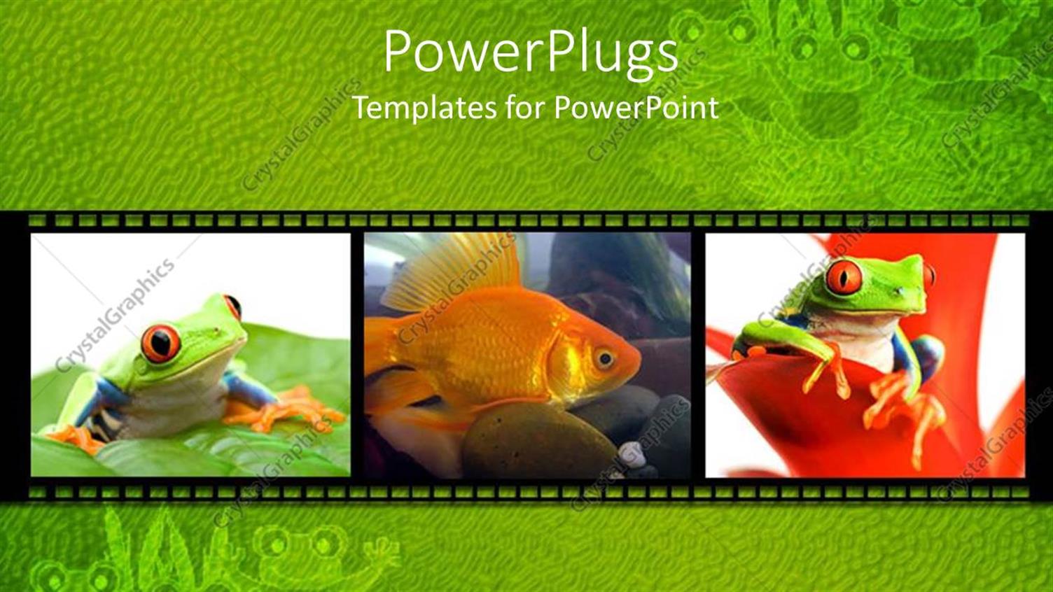 Premium Template for PowerPoint & Google Slides 