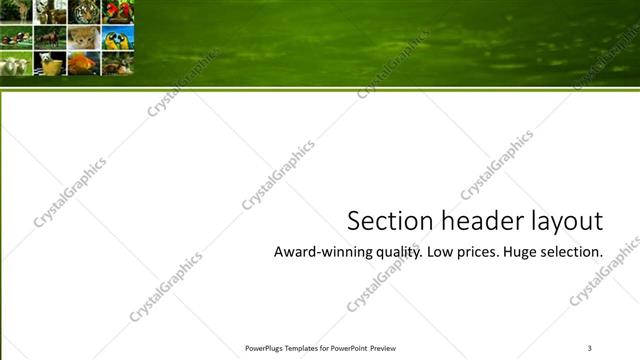 Section Header presentation slide layout