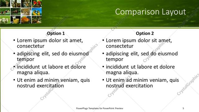 Comparison presentation slide layout